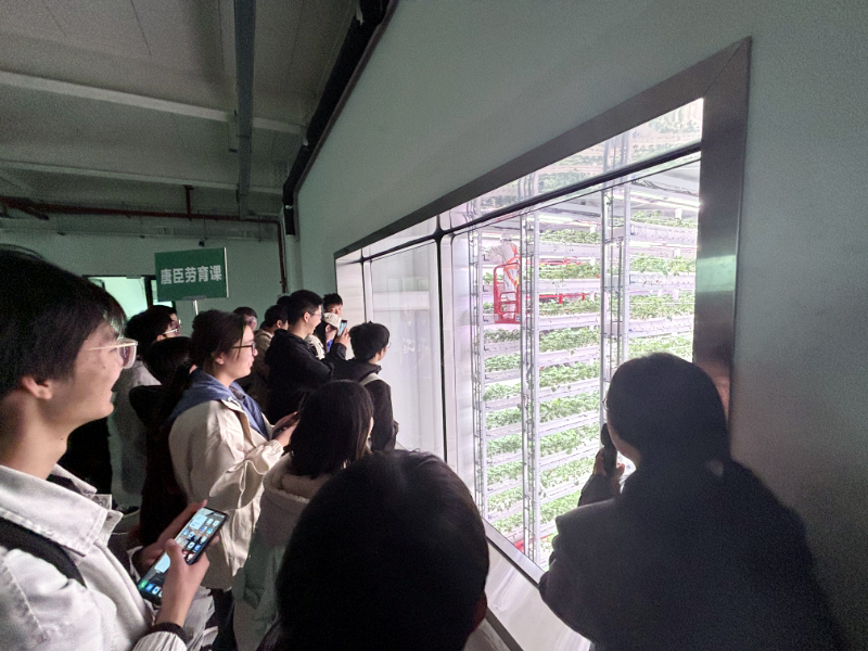 澳门六合彩官网