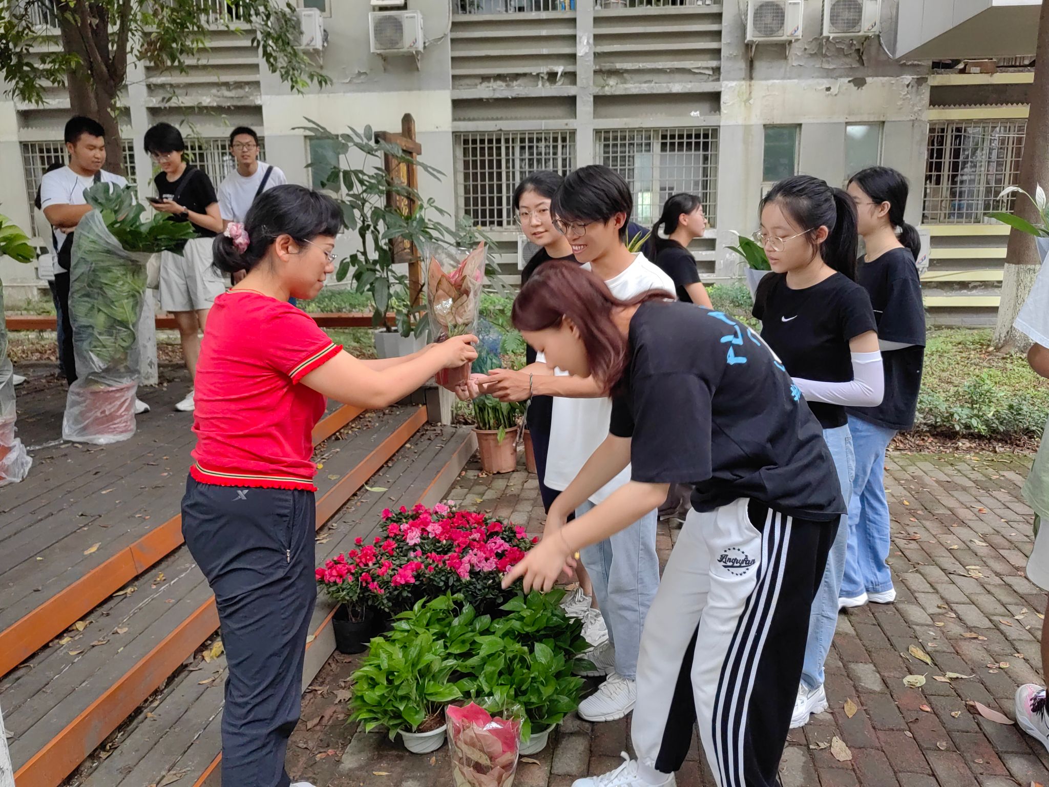 澳门六合彩官网