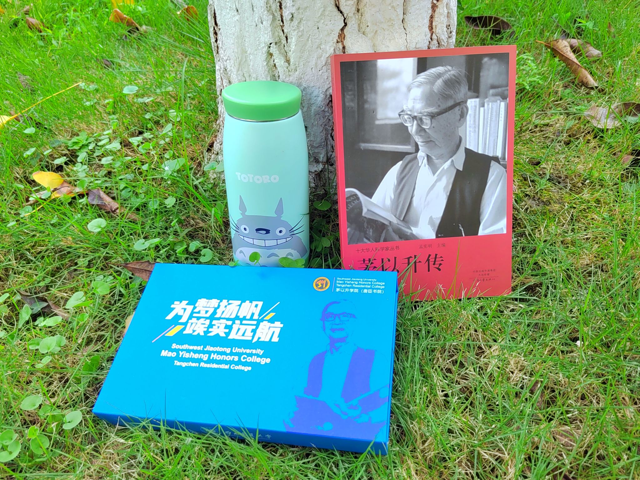 澳门六合彩官网