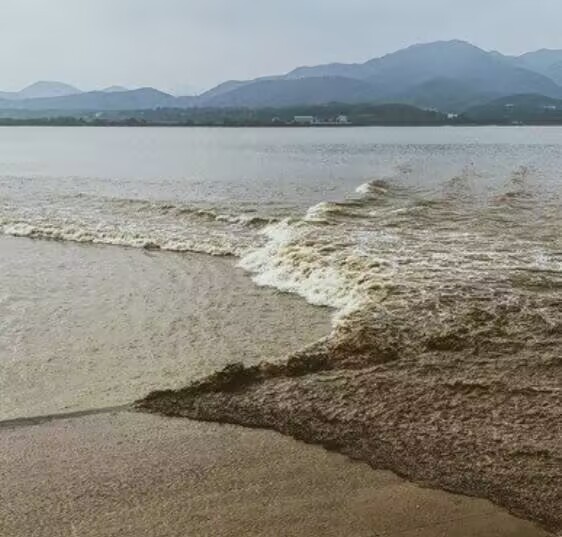 澳门六合彩官网