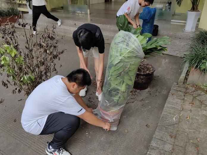 澳门六合彩官网